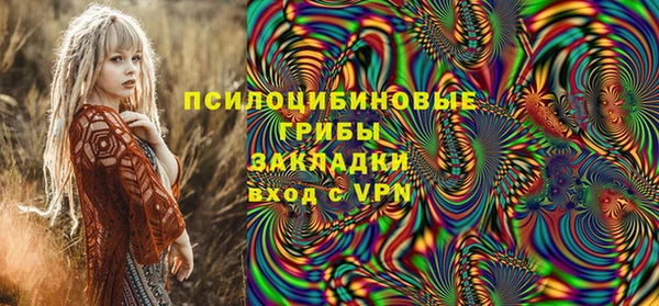 apvp Арсеньев