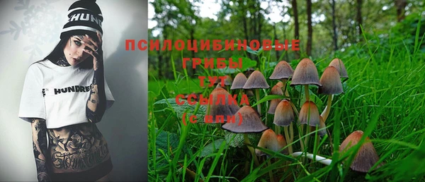 spice Аркадак