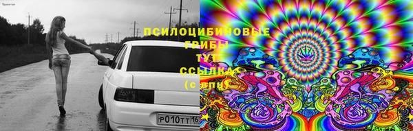 apvp Арсеньев