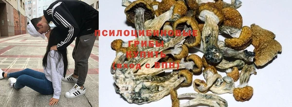 первитин Армянск