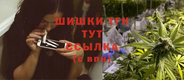 apvp Арсеньев